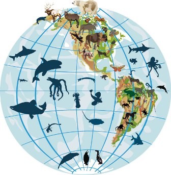 Biogeografia