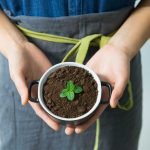Estudando Ecologia e Meio Ambiente