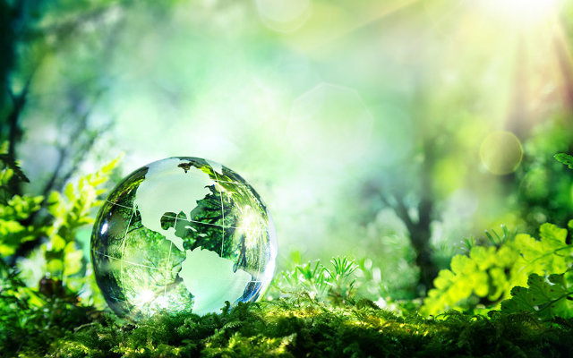 Imagem Sobre Ecologia