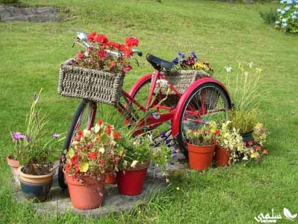 Canteiros de Flores Criativos com Fotos e Vídeos