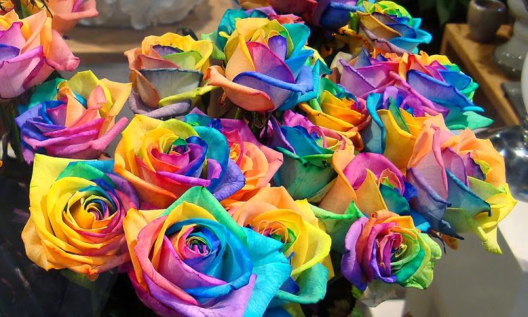 Rosas Exóticas: Nomes e Fotos