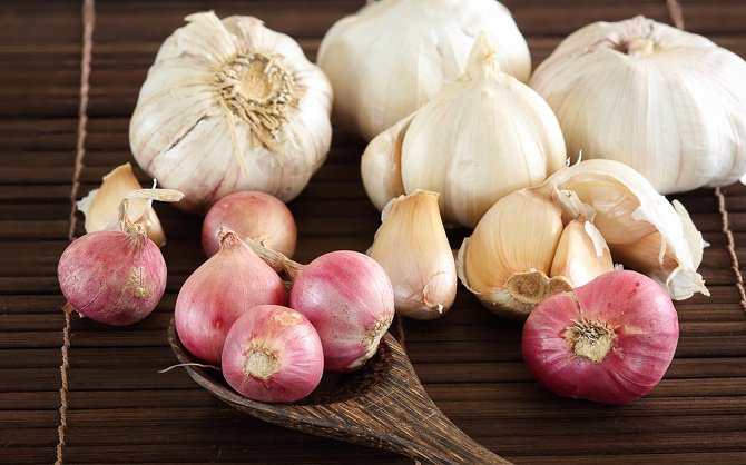 Pode Consumir as Folhas da Cebola? É Comestível?