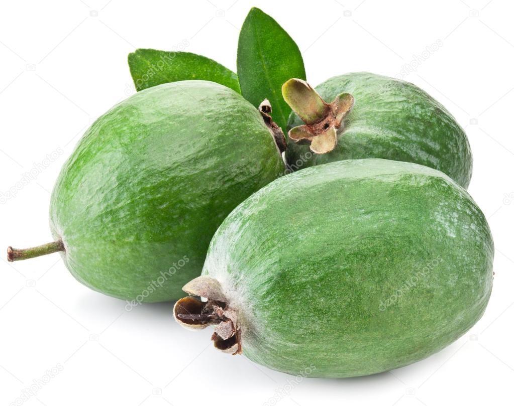 Pitanga Feijoa: Características, Benefícios e Fotos