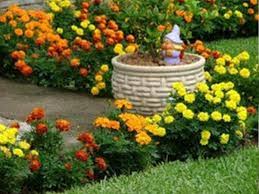 Jardins Rústicos Para Chácaras Pequenas
