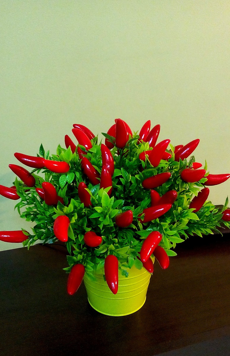 Pimenta de Mesa É Comestível? Ela Arde? Como Cuidar?