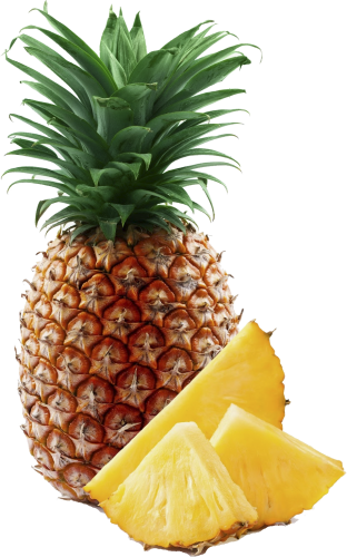 Abacaxi é Fruta?