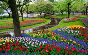 Jardim Florido o Ano Todo – Com Fotos