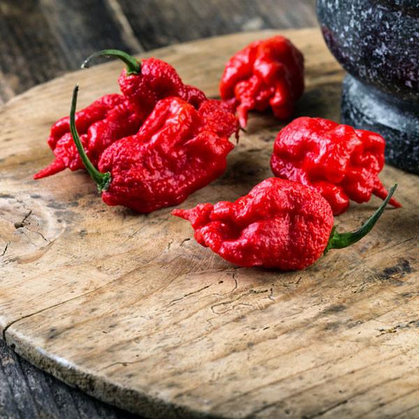Qual a Pimenta mais Ardida do Mundo?