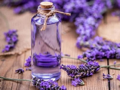 Qual O Melhor Óleo Essencial De Lavanda?