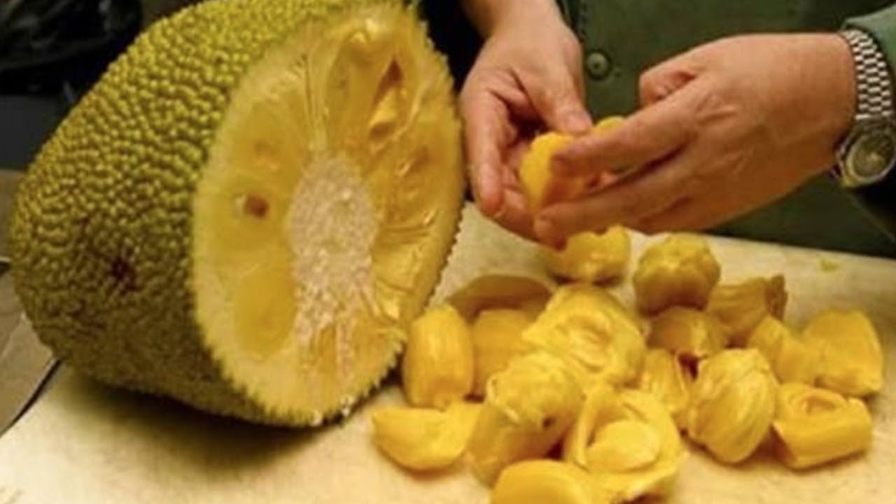 Jaca Como Comer: Dicas de Como Consumir a Fruta
