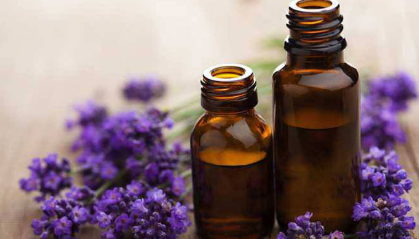 Óleo Absoluto De Lavanda: Para Que Serve E Composição