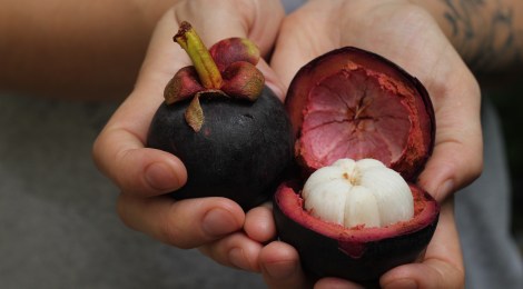 Mangostão: Origem e Historia da Fruta