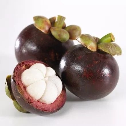 Mangostão Quanto Tempo para Produzir: Como é a Sua Propagação?