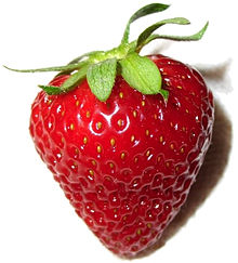 Origem do Morango e História da Fruta