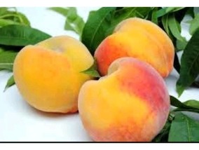Pêssego Marli: Calorias, Benefícios, Nome Científico e Fotos