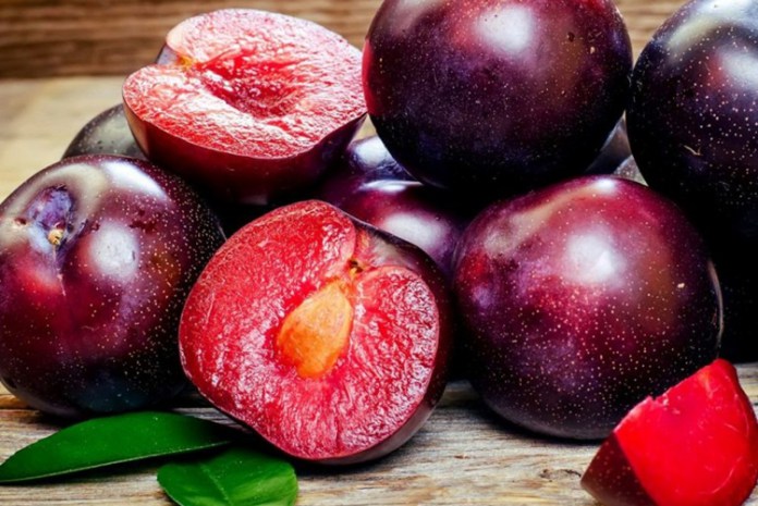 Ameixa Japonesa Letícia: Benefícios, Calorias, Características e Fotos