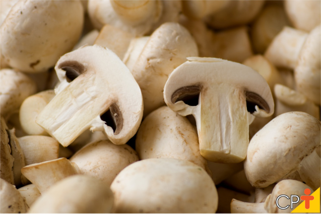 Como é Chamada a Parte Comestível do Cogumelo Champignon?