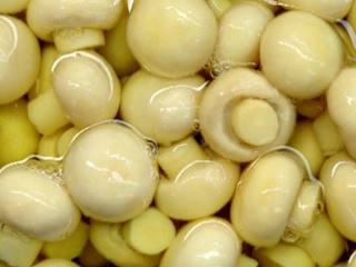 Como Fazer Champignon Em Conserva?