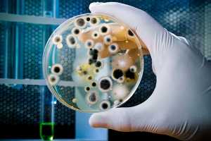 O que é uma Infecção Fúngica? Quais os Sintomas?