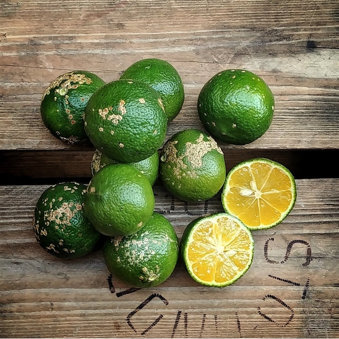 O Que é Fruta Semi Ácida, Ácida e Não Ácida? Quais as Diferenças?