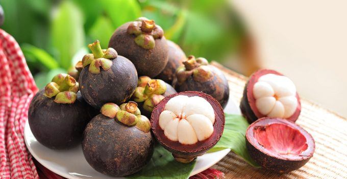 Longan Fruta: Cultivo, Rambutão e Mangostão