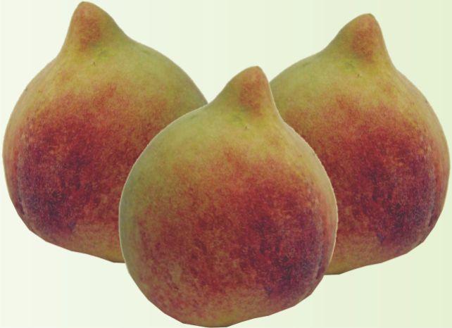 Pêssego Chiripá: Calorias, Benefícios, Nome Cientifico e Fotos