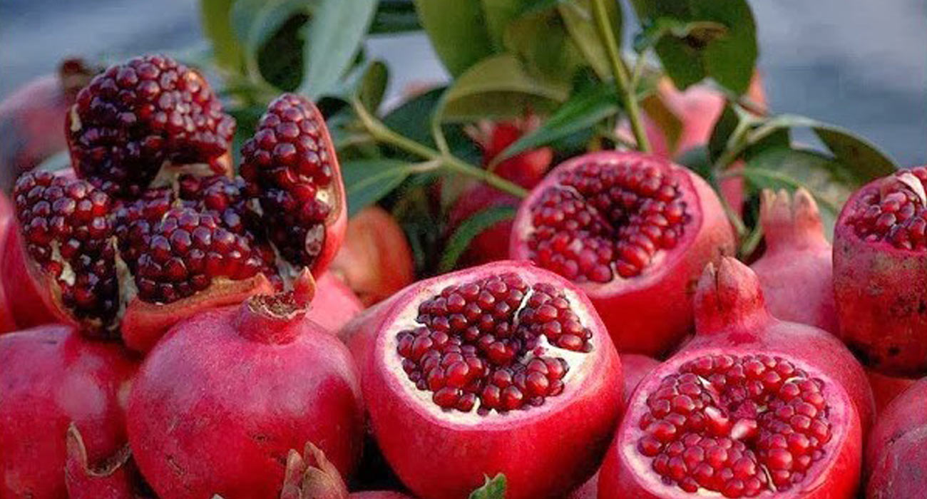 Minha Romãzeira Não dá Frutos: Que Fazer? Como Solucionar?