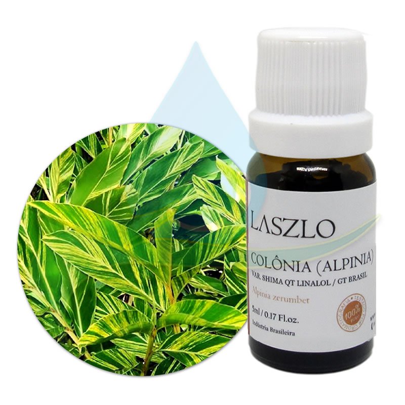 Como Usar o Óleo de Alpinia Zerumbet? Espasticidade e Medicinal