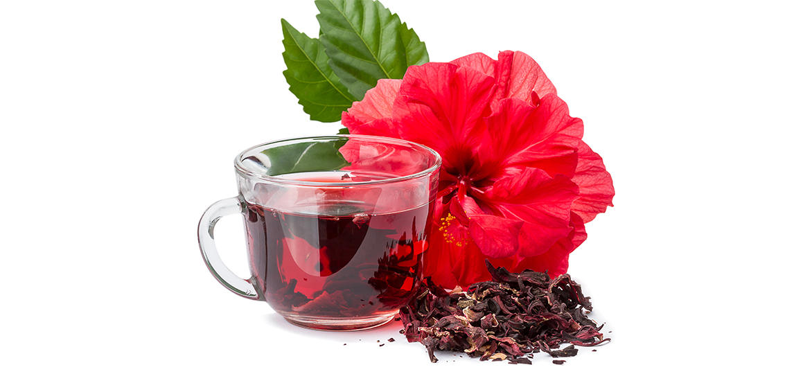 O Que é Hibisco e Para que Serve?