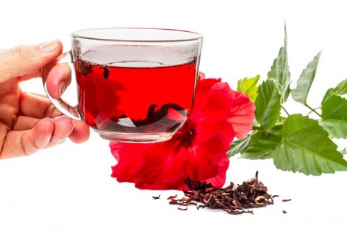 Hibisco: Benefícios e Malefícios Para o Homem