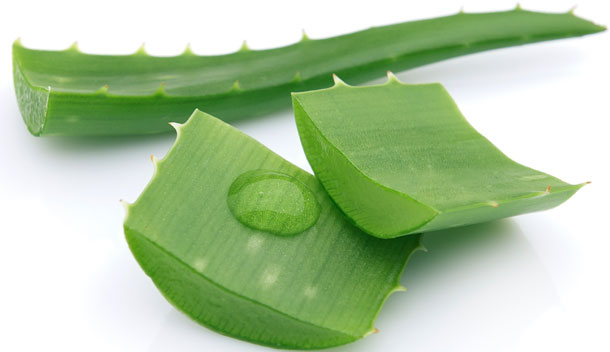 Como Usar Babosa Para Inflamação No Útero? Funciona?