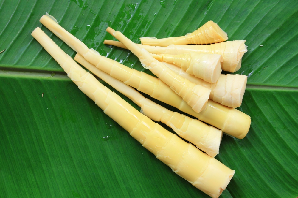 Quais São os Benefícios do Broto de Bambu?
