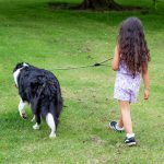 Criança Passeando com Cachorro