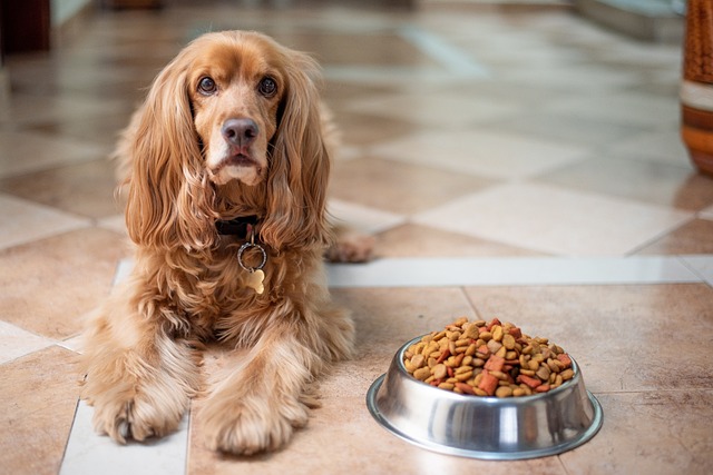 Cachorros com Sensibilidade Alimentar: Alimentos Saudáveis para uma Vida Equilibrada