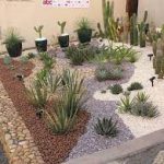 Jardim de Xerófilas